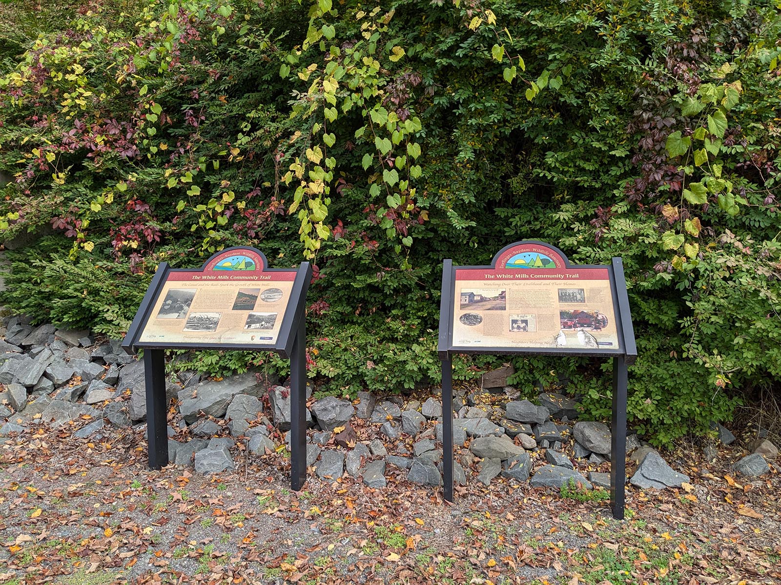 Signs at bottom